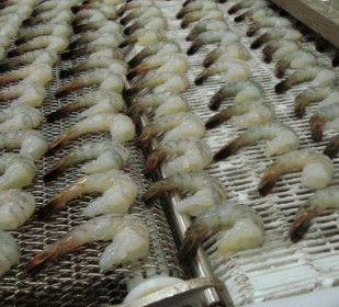 Thép không gỉ 316 Lưới dệt cân bằng Lưới dây băng tải